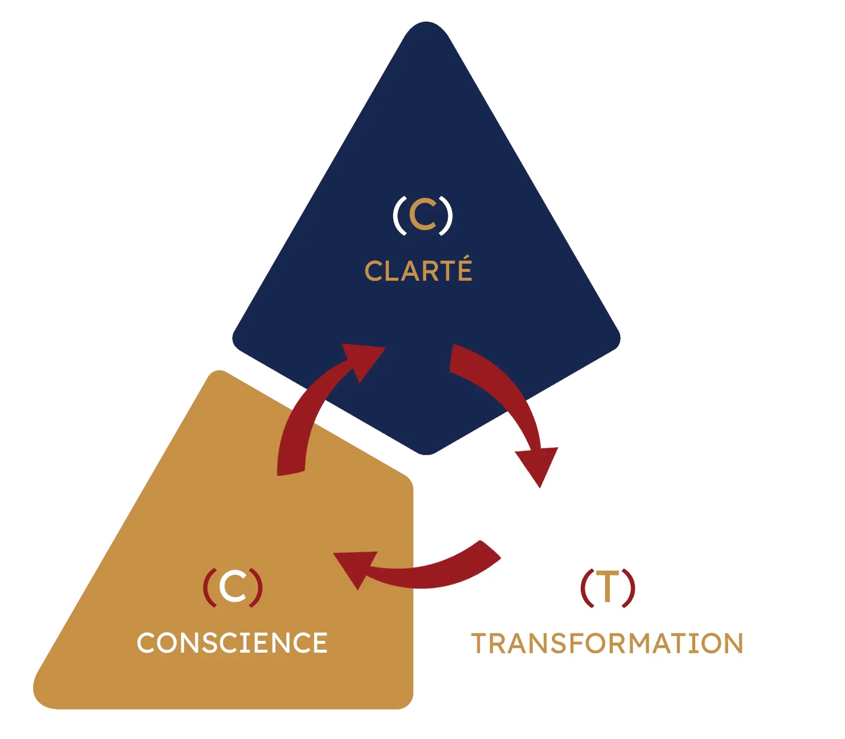 https://christianelatchieu.com/fr/wp-content/uploads/2024/01/ACT-triangle-French.webp